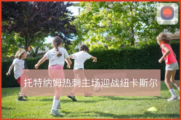 托特纳姆热刺主场迎战纽卡斯尔